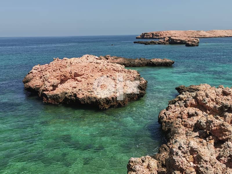 Snorkeling at dimaniyat 0