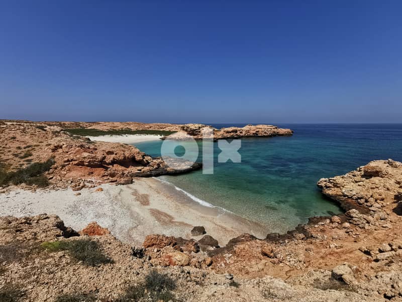 Snorkeling at dimaniyat 1