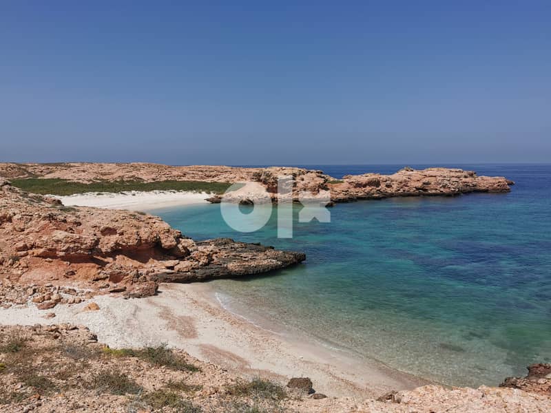 Snorkeling at dimaniyat 2