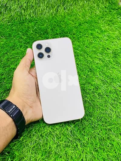 iPhone 12 pro max -256 GB Absolute condition device