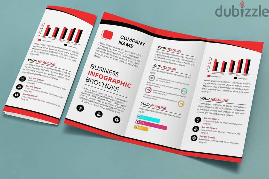 Brochure Designer ( Logo,flyer,Menu etc ) 3