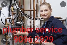 plumber work and house maintenance and service 0