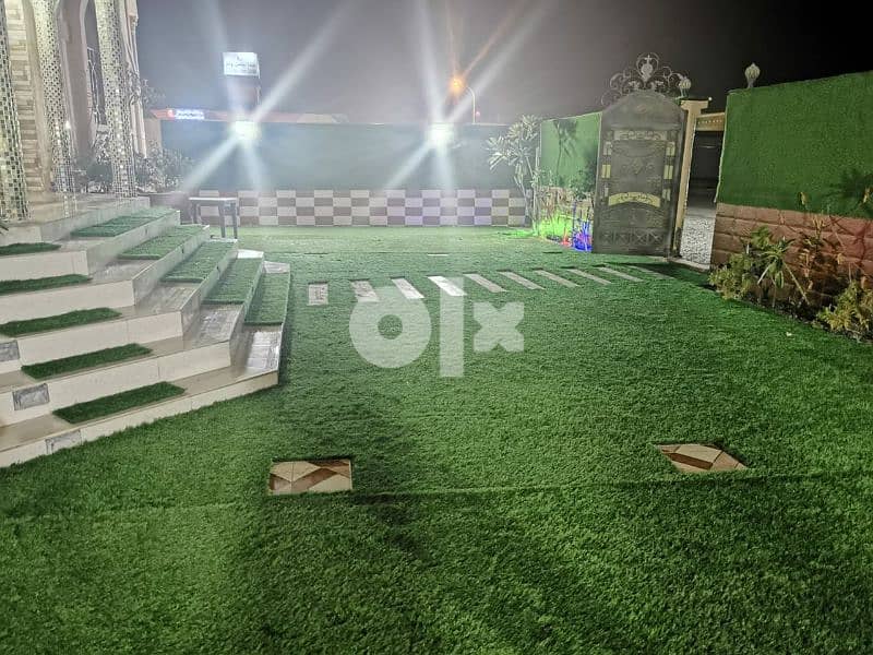 العشب الاصطناعي / Artificial Grass 9